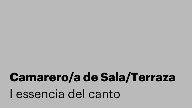 Camarero/a de Sala/Terraza