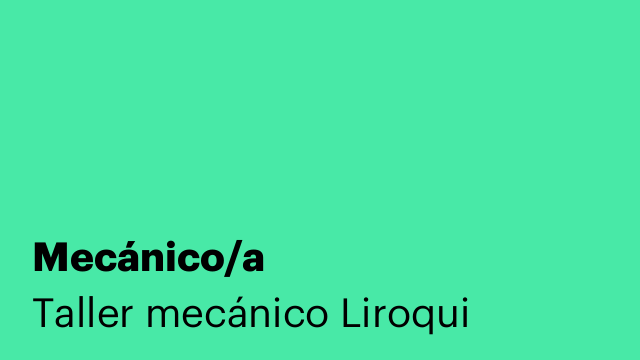 Mecánico/a