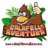 Casal C. avatar icon