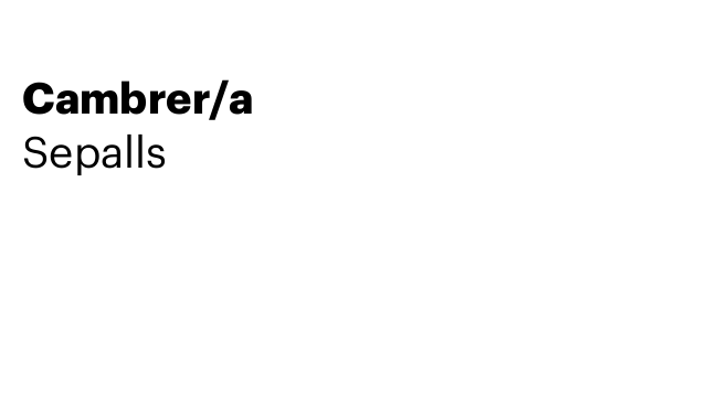 Cambrer/a