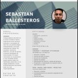 Sebastiann B. avatar icon