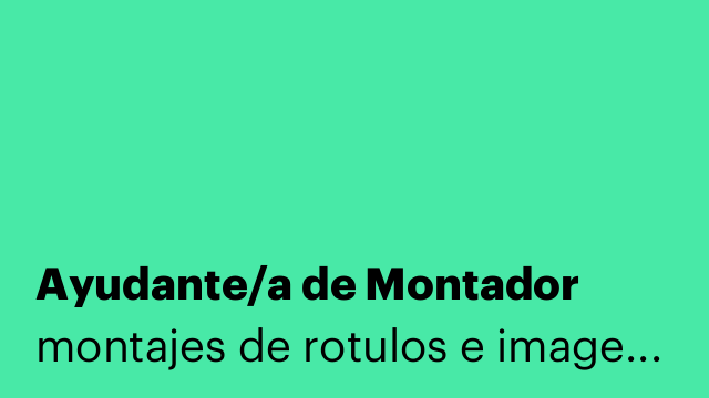 Ayudante/a de Montador