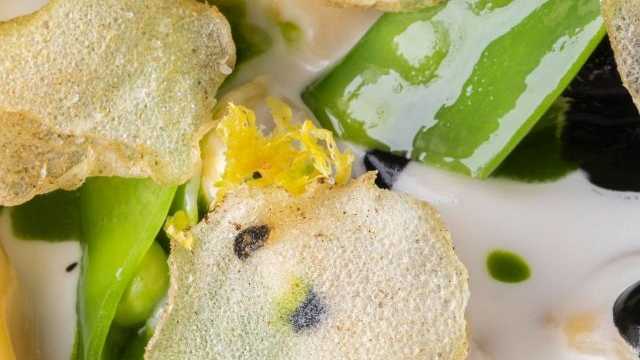 Cocinero/a y Ayudante/a de Cocina