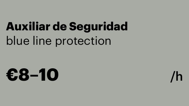 Auxiliar de Seguridad