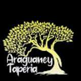 Araguaney T. avatar icon