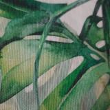 Lucia D. avatar icon