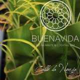 La Buena Vida logo