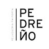 PEDREÑO P. avatar icon