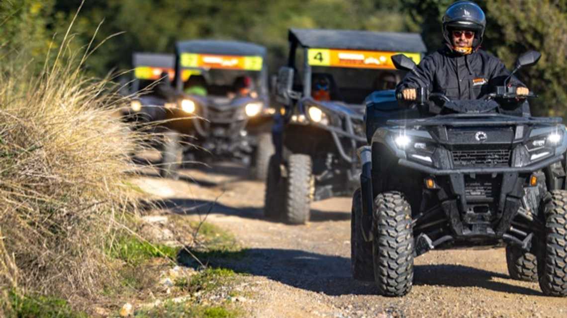 Marbella Buggys cover image