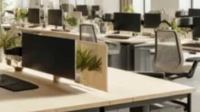 Recepción y asesoramiento de clientes
