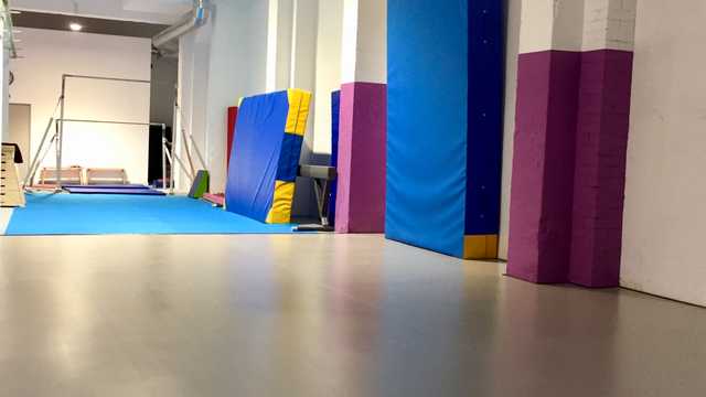 Entrenador gimnasia artística