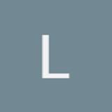 Lorenzo Falchi avatar icon