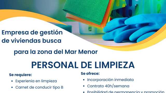 Limpiador/a