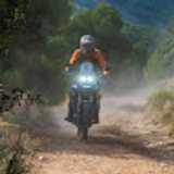 Andrea R. avatar icon