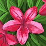 NURIA B. avatar icon