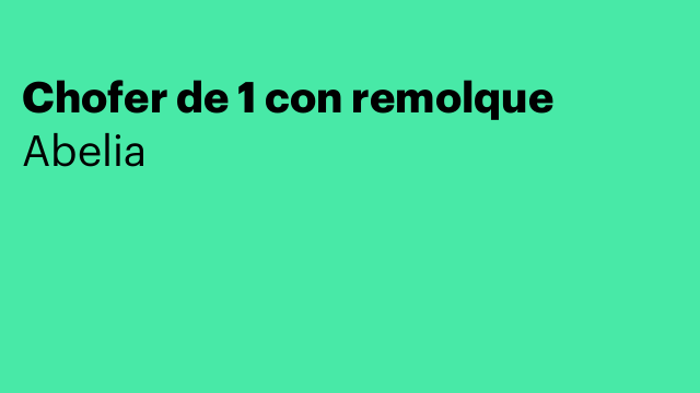 Chofer de 1 con remolque