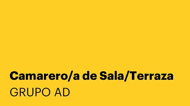 Camarero/a de Sala/Terraza