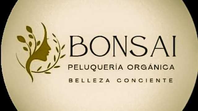 Oficial de peluqueria / Ayudante avanzada en peluquería