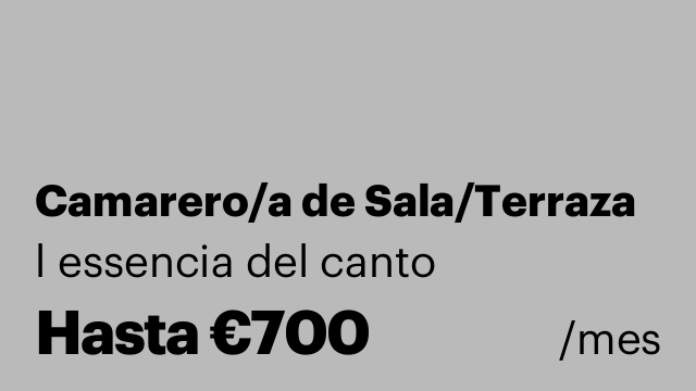 Camarero/a de Sala/Terraza