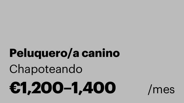 Peluquero/a canino