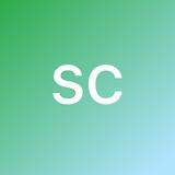Sylvain C. avatar icon