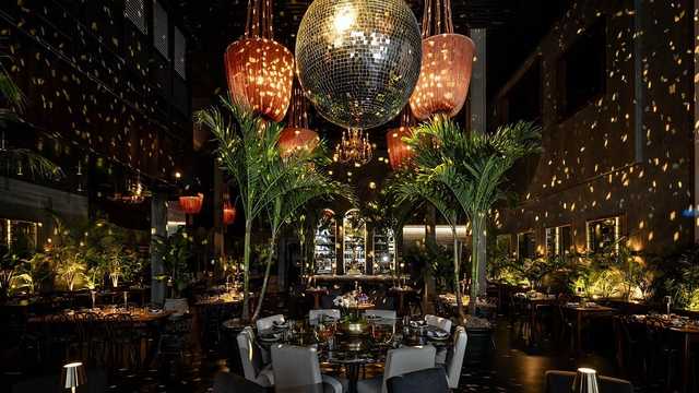 Director of Nightlife & Operations