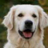 Debby V. avatar icon