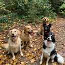 Company photo #1
