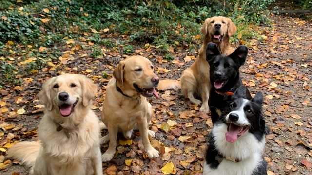 Company photo #1