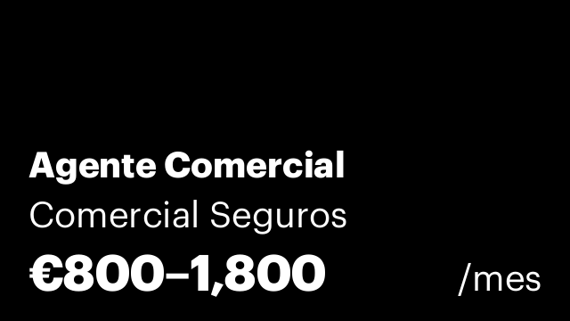 Agente Comercial