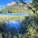 franciso javier G. avatar icon