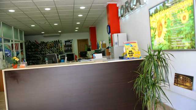 Ayudante/a de Rotulista