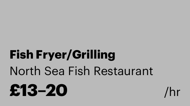 Fish Fryer/Grilling