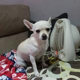 Merche O. avatar icon