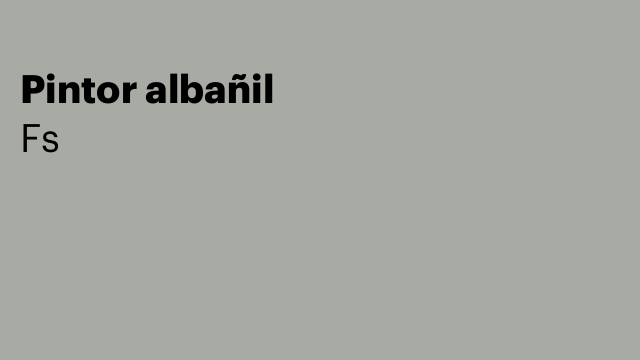 Pintor albañil