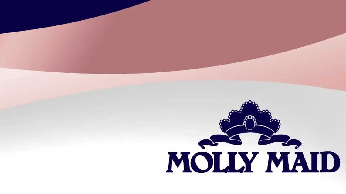 Molly Maid Harrow & Ruislip cover image