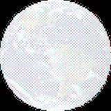 Möndo T. avatar icon