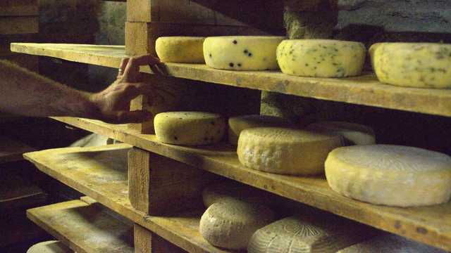 Dependiente/a de Tienda