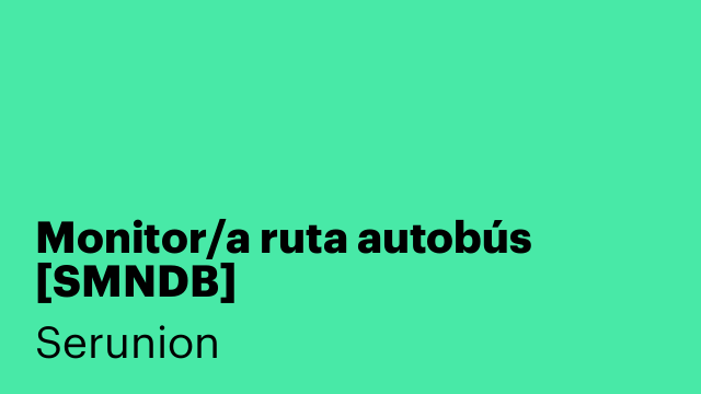Monitor/a ruta autobús [SMNDB]