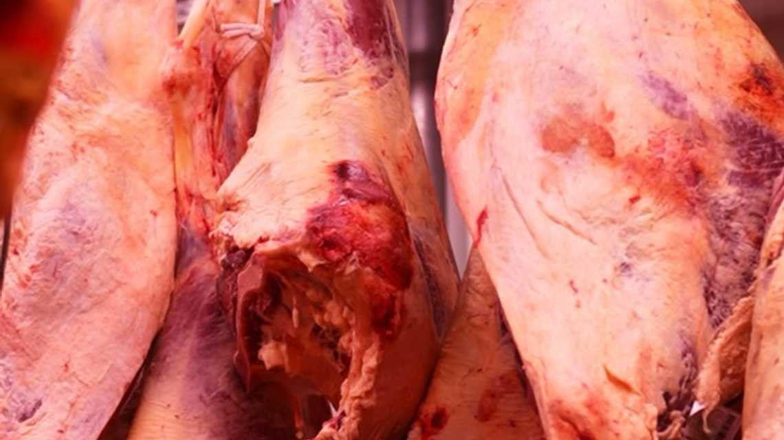 CAPITAN CHICKEN & MEAT cover image