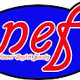 Nefty F. avatar icon