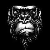 Top Fight Gym logo
