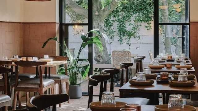 Head Chef