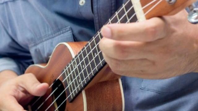 Profesor/a de Ukelele