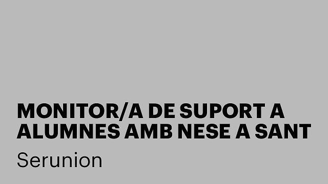 MONITOR/A DE SUPORT A ALUMNES AMB NESE A SANT JUST DESVERN  [SMDSC]