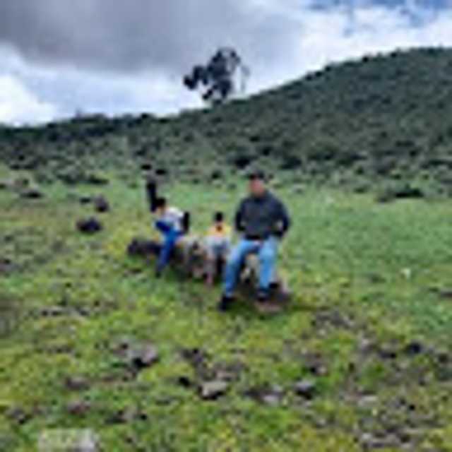 Candidate avatar