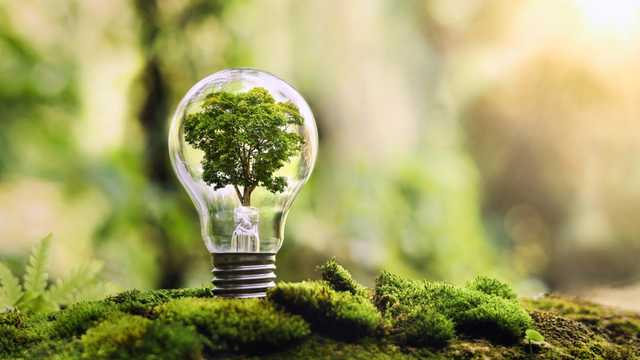 Informador/a Ambiental Mallorca - Pollença