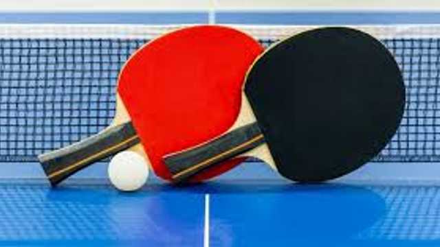 Profesor/a de ping pong