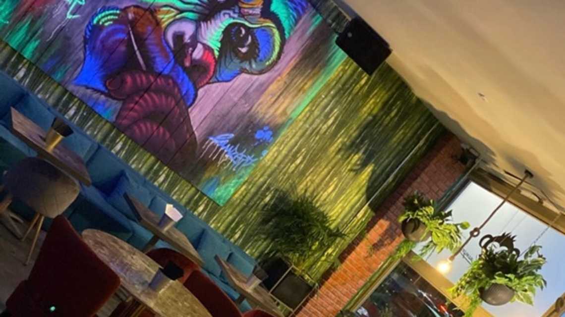 La Mona lounge cover image