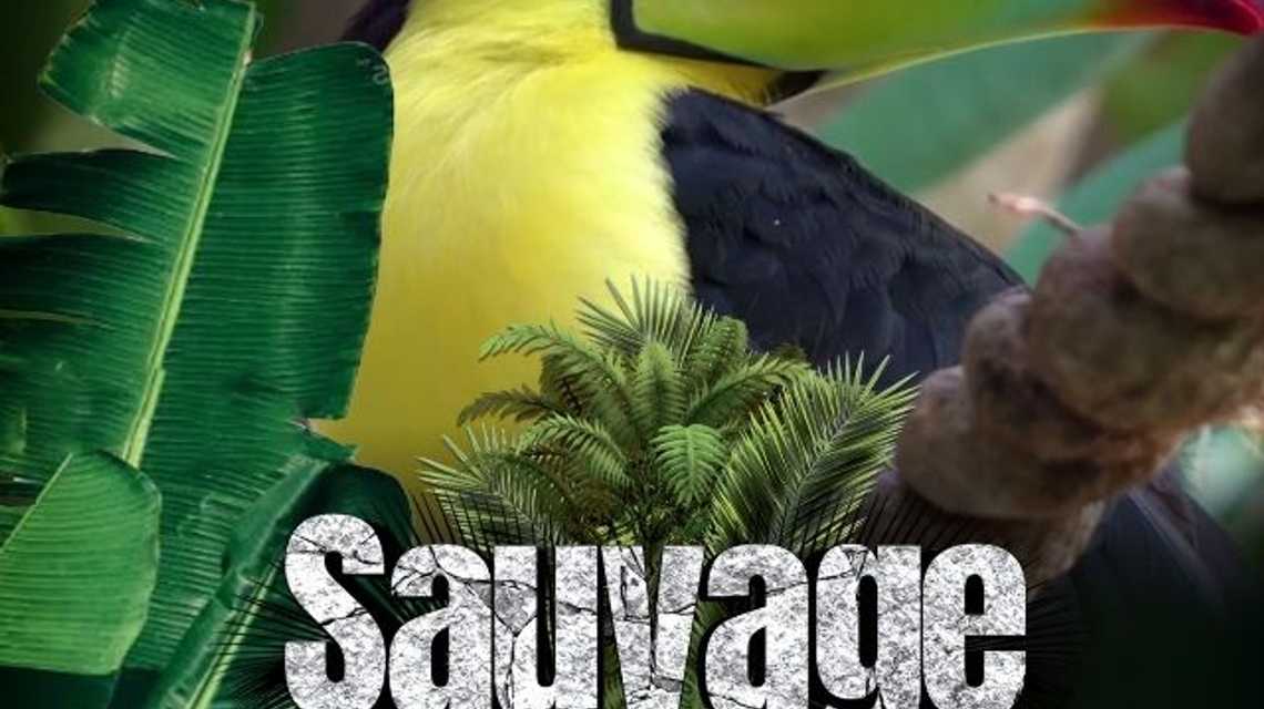 SAUVAGE cover image